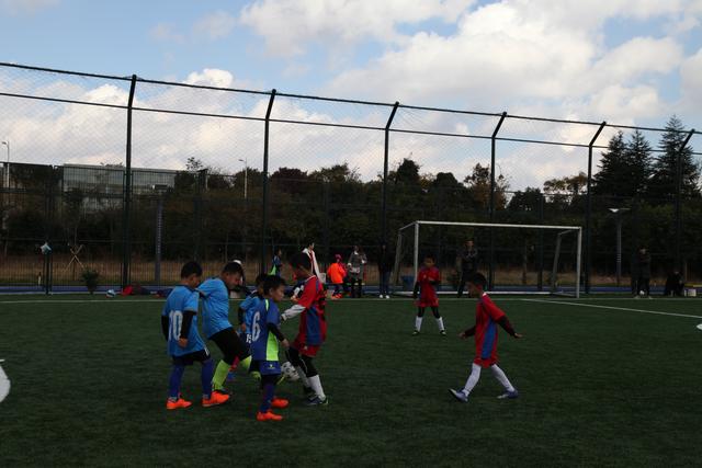 体育总局副局长点名批评男篮：暴露出太多问题